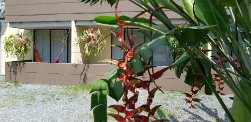Hotel Hosteria Guarac�
