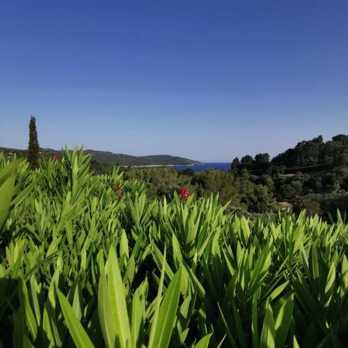 Apartamento Sylvabelle Bluesky