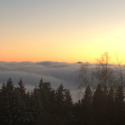 Hostal Gasthof Waldschenke