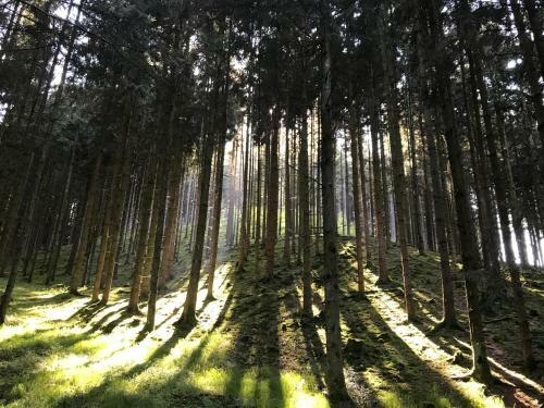 Hostal Gasthof Waldschenke