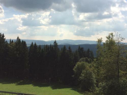 Hostal Gasthof Waldschenke