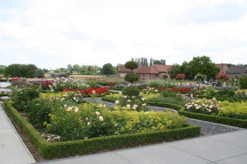 B&B La Vie En Roses
