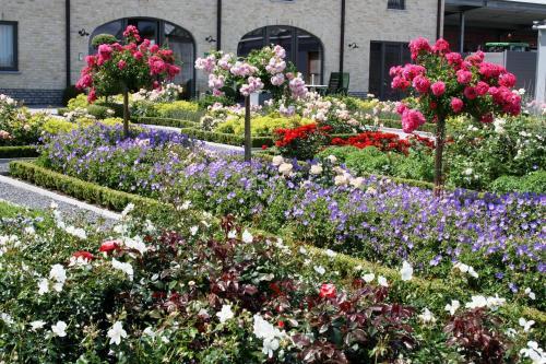 B&B La Vie En Roses