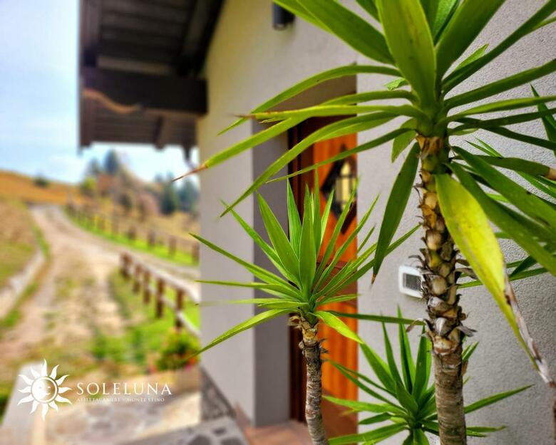 Apartamento Affittacamere Sole & Luna