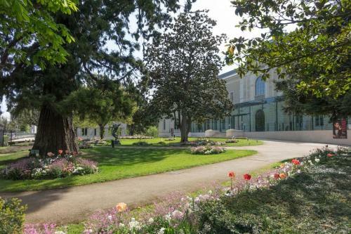 Apartamento T2 La Petite Venise Hyper Centre, Wifi (205)