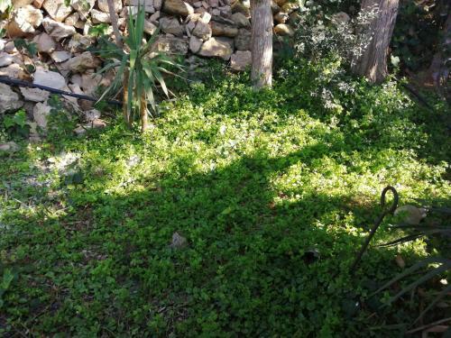 Apartamento Maestrale Appartamento