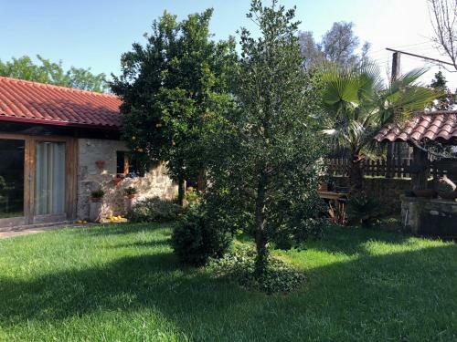 Agroturismo The Olive Tree Country Home