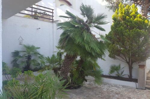 Apartamento Villino Finis Terrae - S.m. Di Leuca