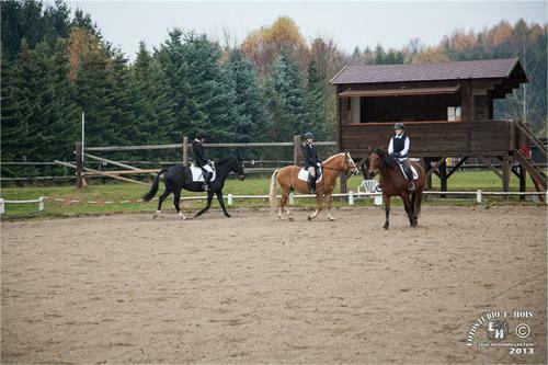 Hostal Pension & Reitstall Inghofer