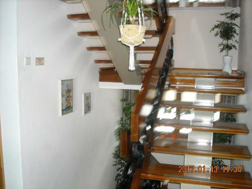 Hostal Haus Rosi