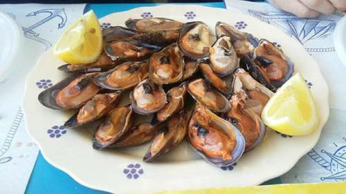 Casanica
