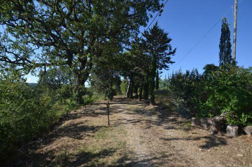 Villa Podere Arco