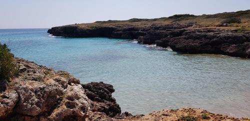 83 Ronda Del Mat�