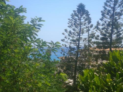 Villa Aralia - San Lorenzo, Marzamemi Noto