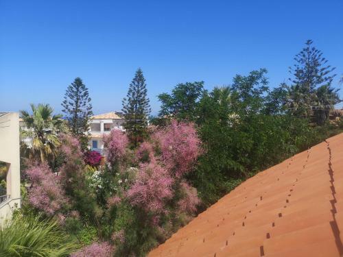 Villa Aralia - San Lorenzo, Marzamemi Noto