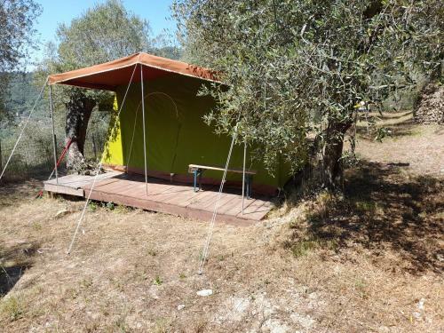 Agricampeggio U Beriun