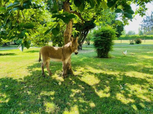 Bed & Breakfast Chez Jan Et Nicole - Gite Toulouse