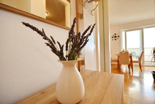 Apartman Dolac Zadar