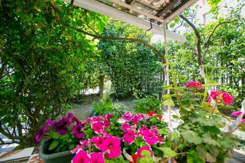 Hostal Guest House Lavr