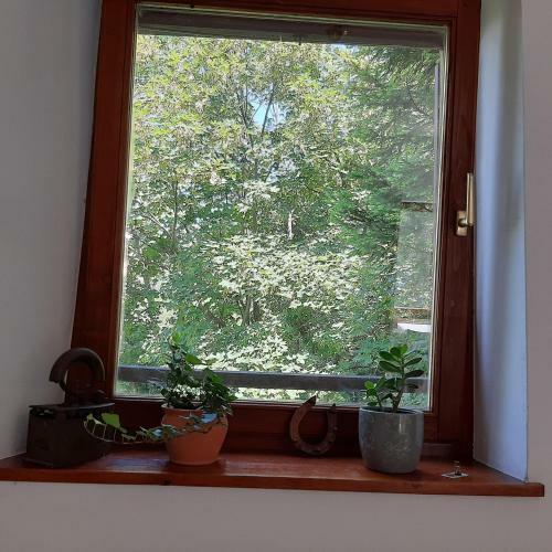 Apartamento Violet's Place