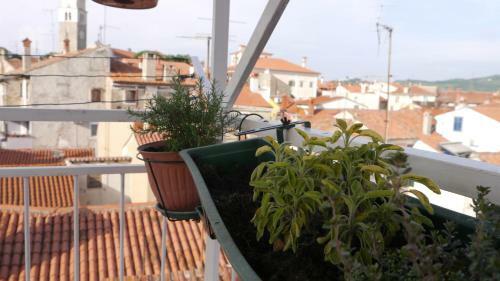 Apartamento 10 Veliki Trg