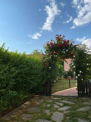 Hostal Tihiyat Kut - Ognyanovo