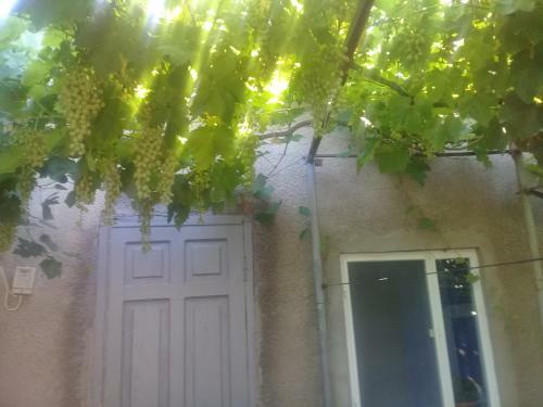 Hostal Guest House Gikacha