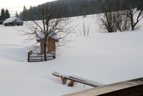 Apartamento Landhaus Gertrude Eder