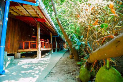 Hostal Molina Bungalows