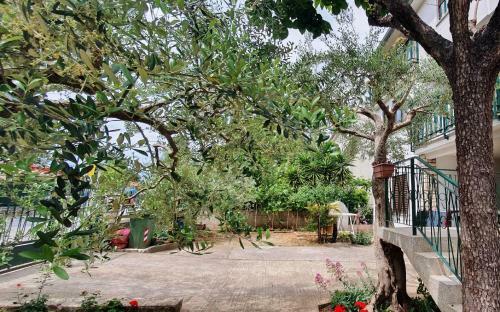 Cecillia Mare Apartments