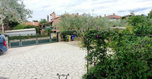 Cecillia Mare Apartments