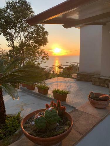 Apartamento Casa Livia