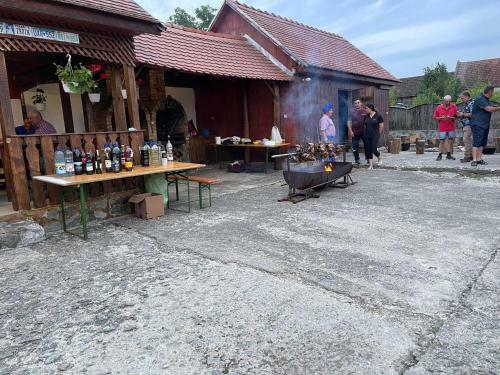 Hostal Pensiunea Ducu