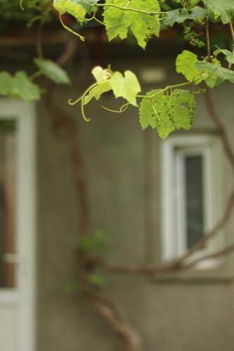 Apartamento Berki House