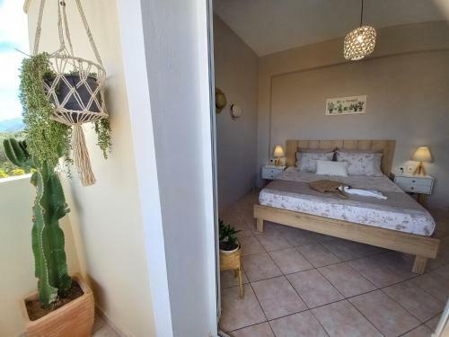 Sanudo Apartments