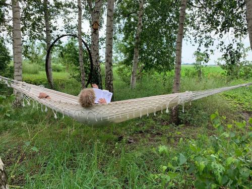 Bed & Breakfast De Veenborgh