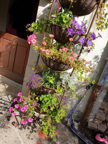 Bed & Breakfast La Maison Dans La Brie