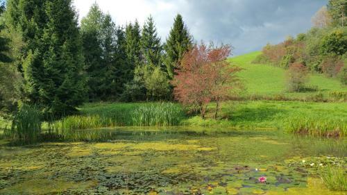 Agroturismo Dwerniczek 7