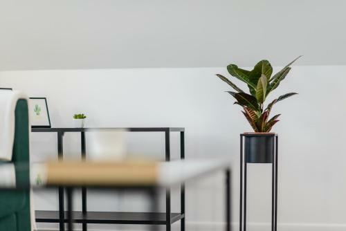 Apartamento Studio Kopernika