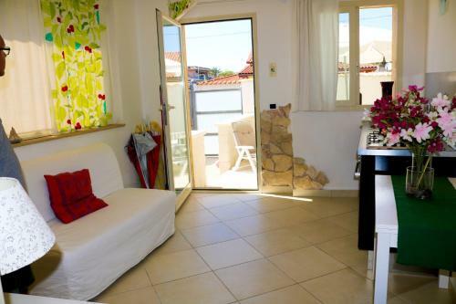 The Enlightened Turtle