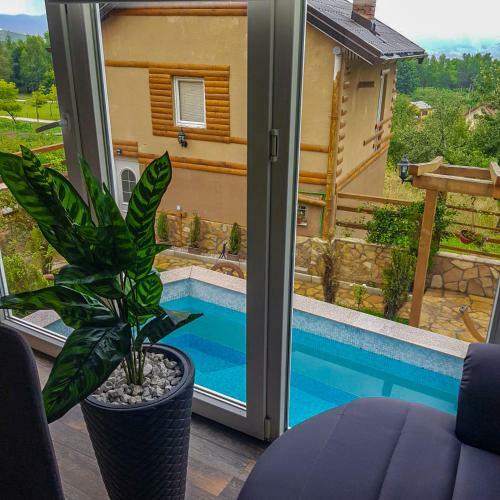 Apartment Little Paradise