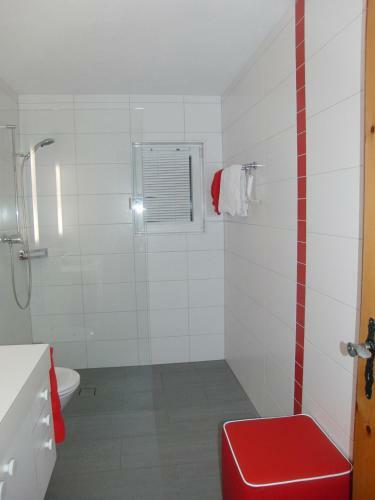 Apartamentos Chesa Viletta