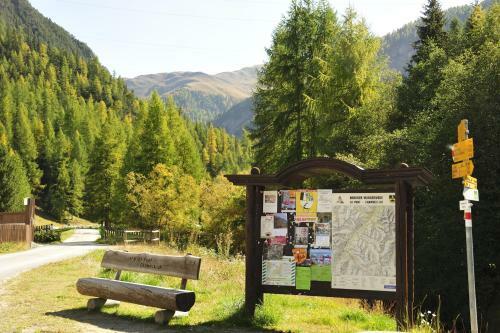 Bed & Breakfast Hotel Chesa Staila