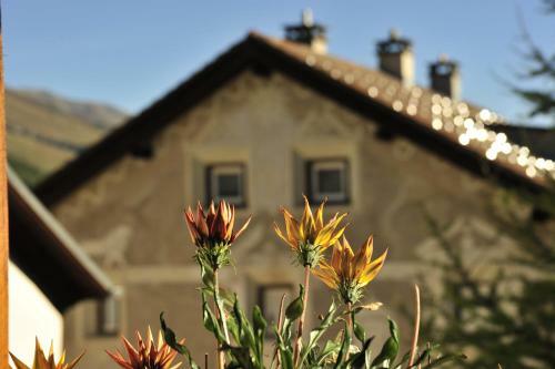 Bed & Breakfast Hotel Chesa Staila