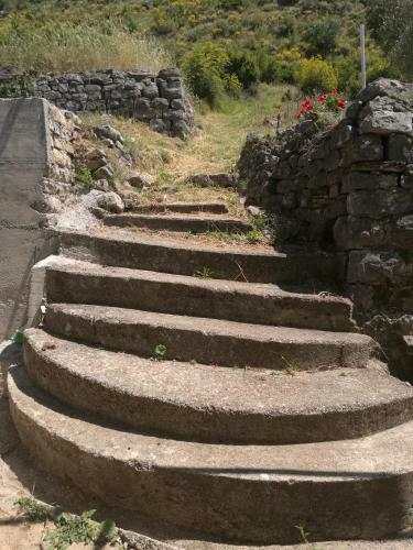 Agroturismo Seaview Stays, Tivat