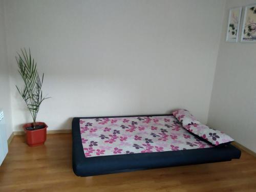Hostal ???????? ??? ? ?????? ?????????