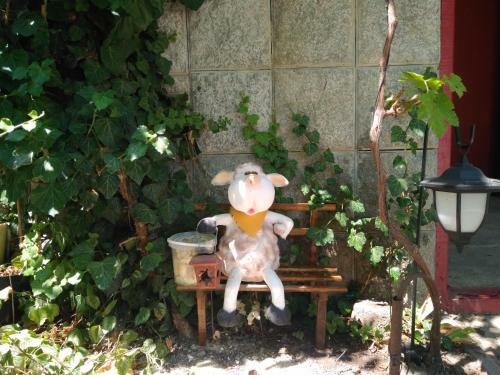 Hostal ?????? ?????