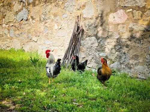 Agroturismo El Buxaus de La Muntanya