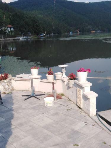 Villa Ku?a Na Obali Jezera Sa Bazenom