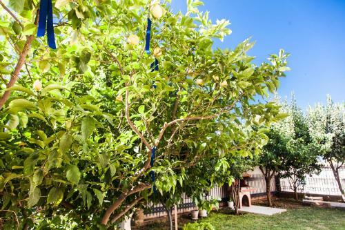 Apartamento Garden House Near The Sea